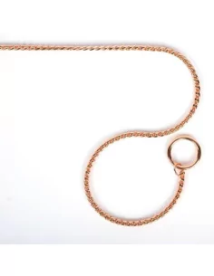 Výstavní řetízkový obojek SHOW TECH 30cm x 2,5mm 2