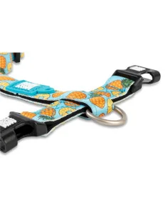 Postroj pro psy Max&Molly Pineapple 2