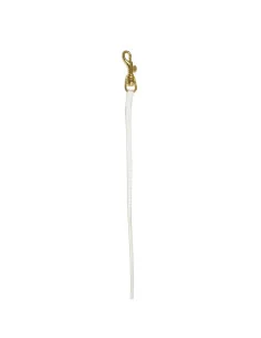 Výstavní vodítko se zlatou karabinou SHOW TECH 0,7x84cm bílé
