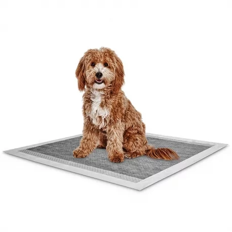 Hygienické podložky pro psy BEST FRIEND CARBONE 60x60cm (10ks)
