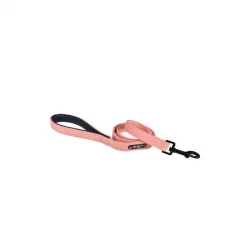 Vodítko pro psy DOGGY SWEET růžové 20mm x 105cm