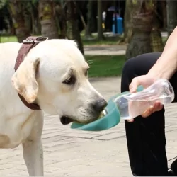 Cestovní láhev na vodu pro psy RECORD WAVE 500ml 2