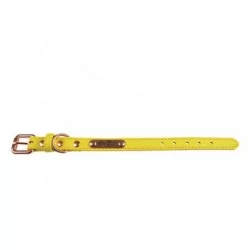 Obojek pro psy DOOGY SUMMER VERT žlutý