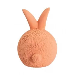 Hračka pro psy MINI MÍČEK ZAJÍČEK 5cm 2