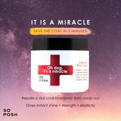 Intenzivně vyživující maska na srst SO POSH OH DOG 500ml 2
