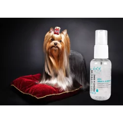 Intenzivně hydratační a vyživující sérum na srst s tepelnou ochranou SHOW TECH+ 50ml 2