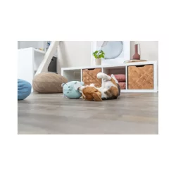 Plyšová hračka pro psy JUNIOR medvídek 14cm 2